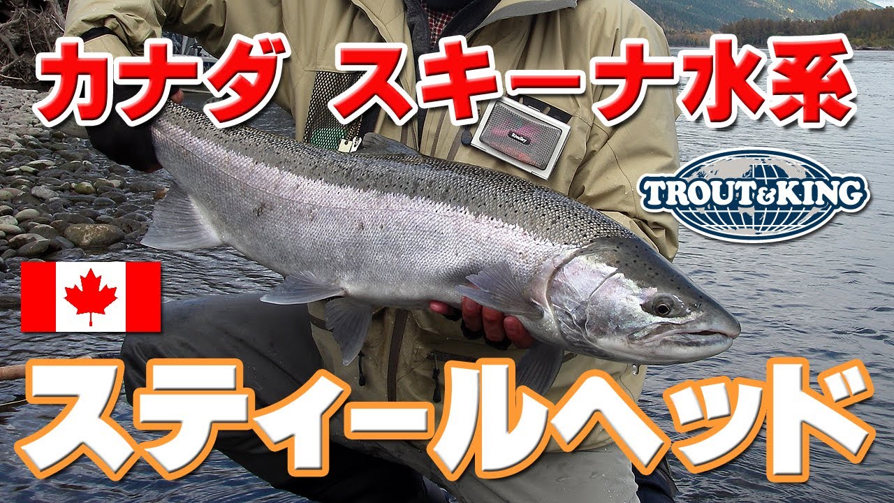 D6 カナダ スキーナ水系 シルバーサーモン＆スティールヘッド フライフィッシング Steelhead & Salmon Fly Fishing in Skeena, Canada