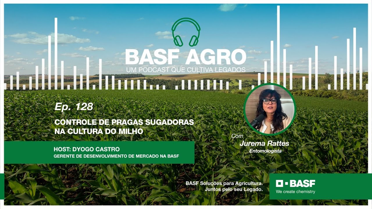 Ep. 128 – Controle de pragas sugadoras na cultura do Milho, com Jurema Rattes