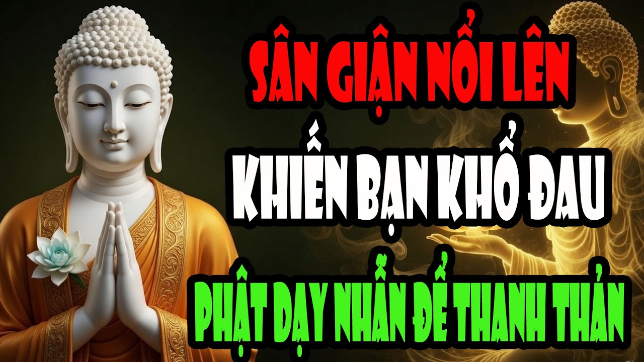 Người Không Kiềm Chế Được Sân Giận Đang Tự Làm Khổ Mình – Nghe Lời Phật Dạy Để Bình An