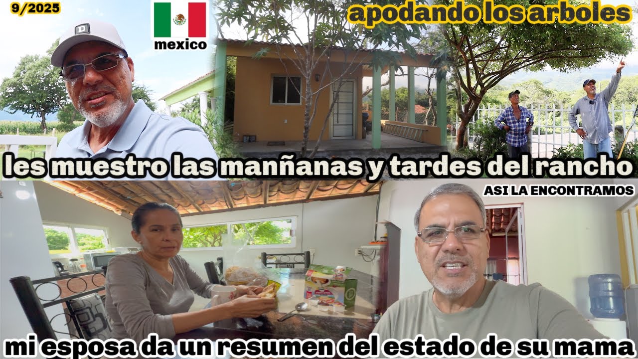 despues de que llegamos AL RANCHO|podamos los ARBOLES|un resumen de la ABUELITA mica!!
