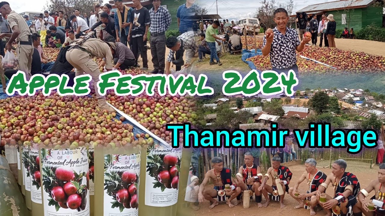 15th Thanamir Apple 🍎 Festival 2024// Thanamir Village// Pungro//Kiphire, Nagaland// Northeast