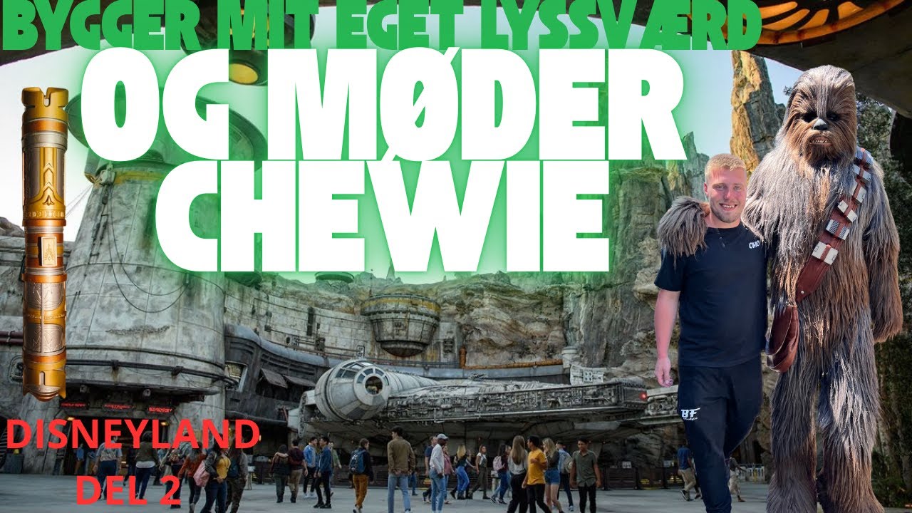 Tager i disneyland del 2