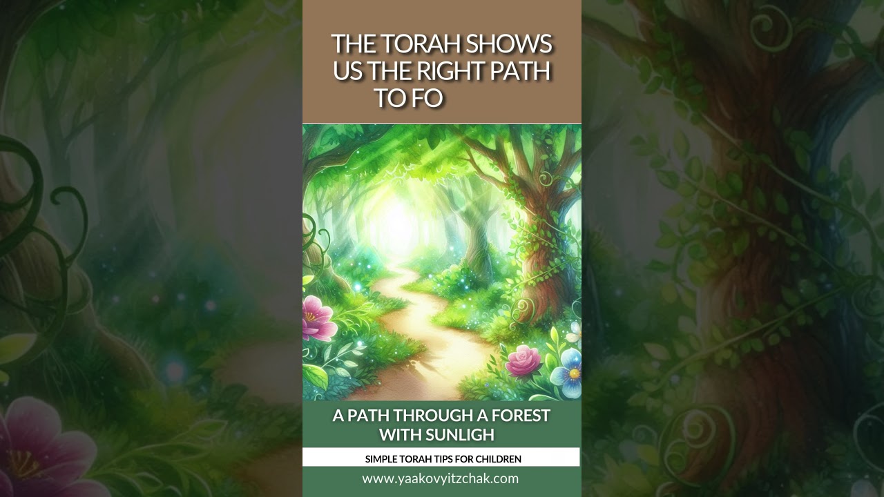 The Torah shows us the right path to follow - Simple Torah Tip