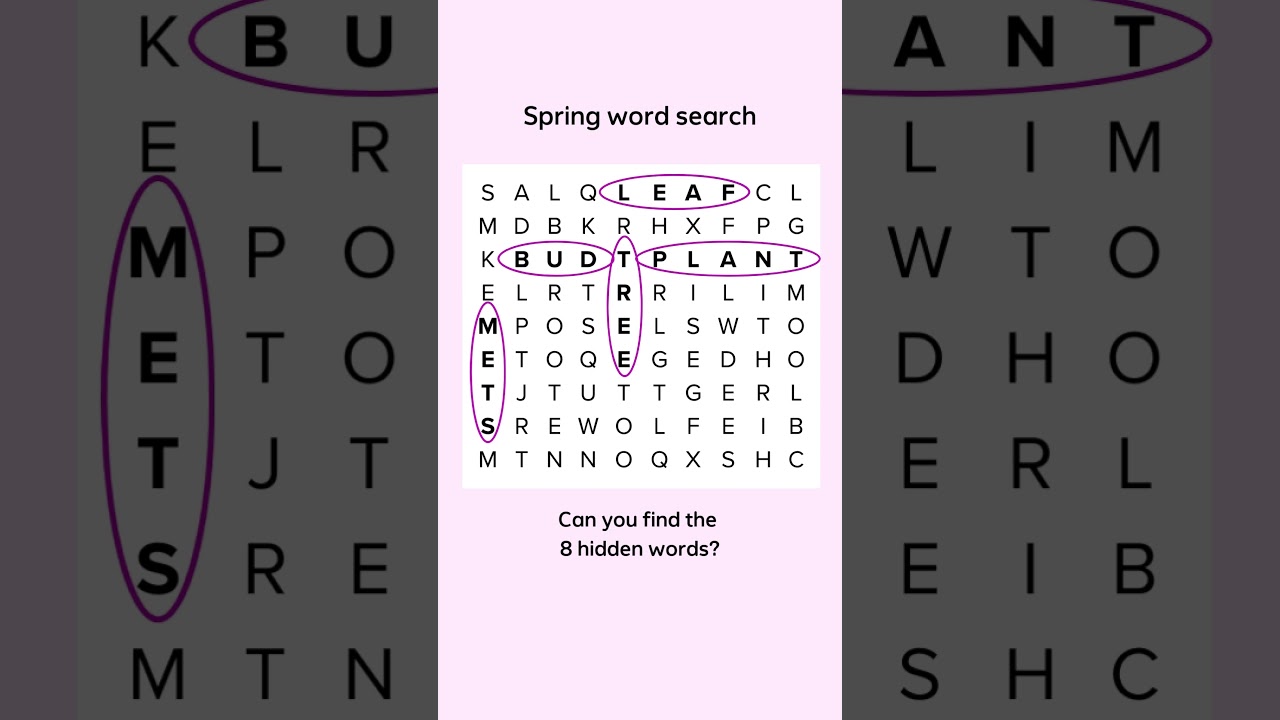 Spring word search