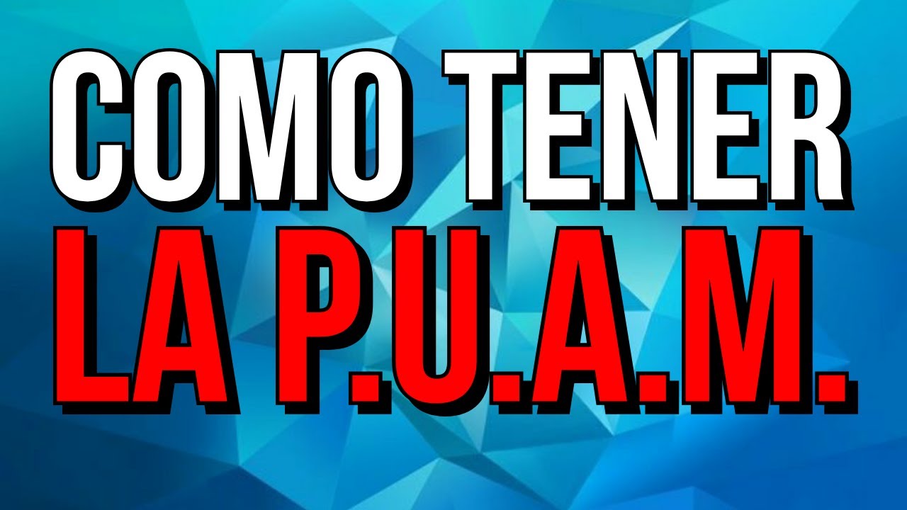 COMO TRAMITAR, ACCEDER E INICIAR LA PUAM - formularios y que es la PUAM