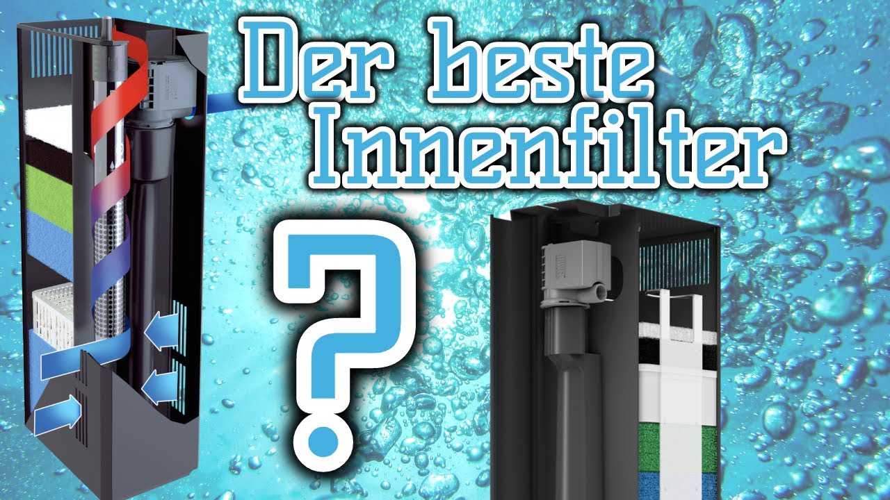 Der beste Innenfilter für dein Aquarium? | Juwel Bioflow | Aquarientechnik