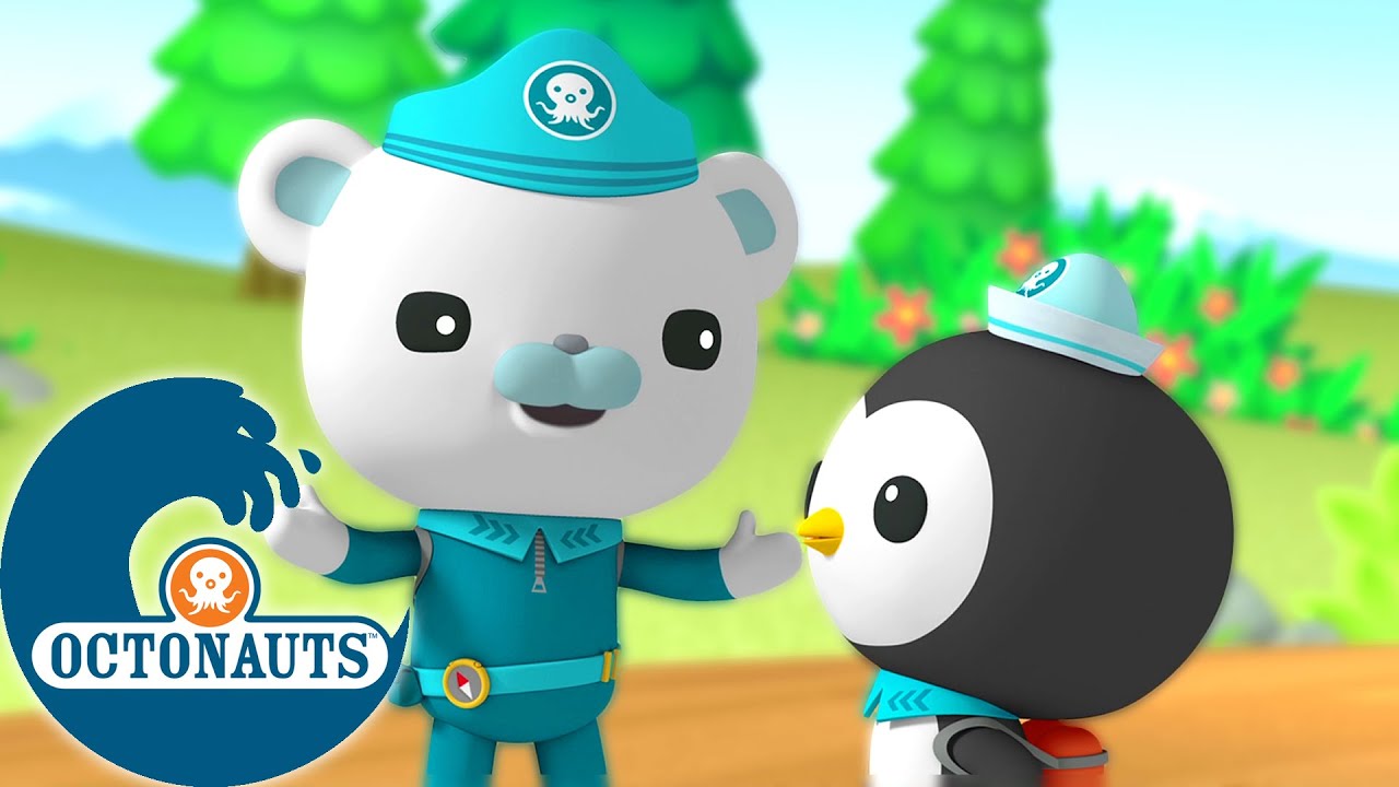 Octonauts - Aventures marines sur Terre | Dessins animés pour enfants