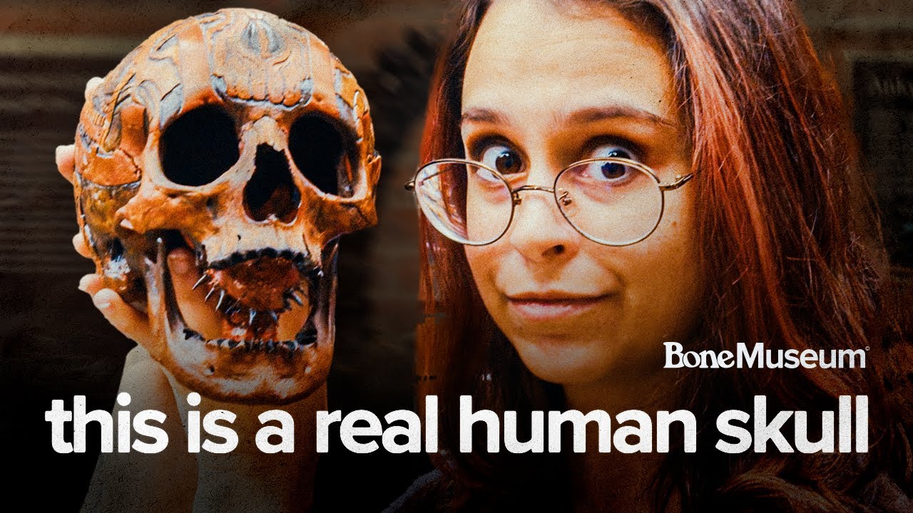 12 УНИКАЛЬНЫХ артефактов, которые вы ОБЯЗАТЕЛЬНО должны увидеть в Музее костей!