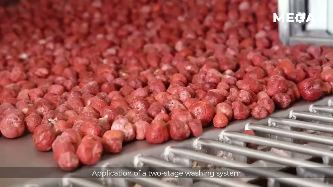Innovative Collaboration in Food Processing: MEGA and Uren Novaberry