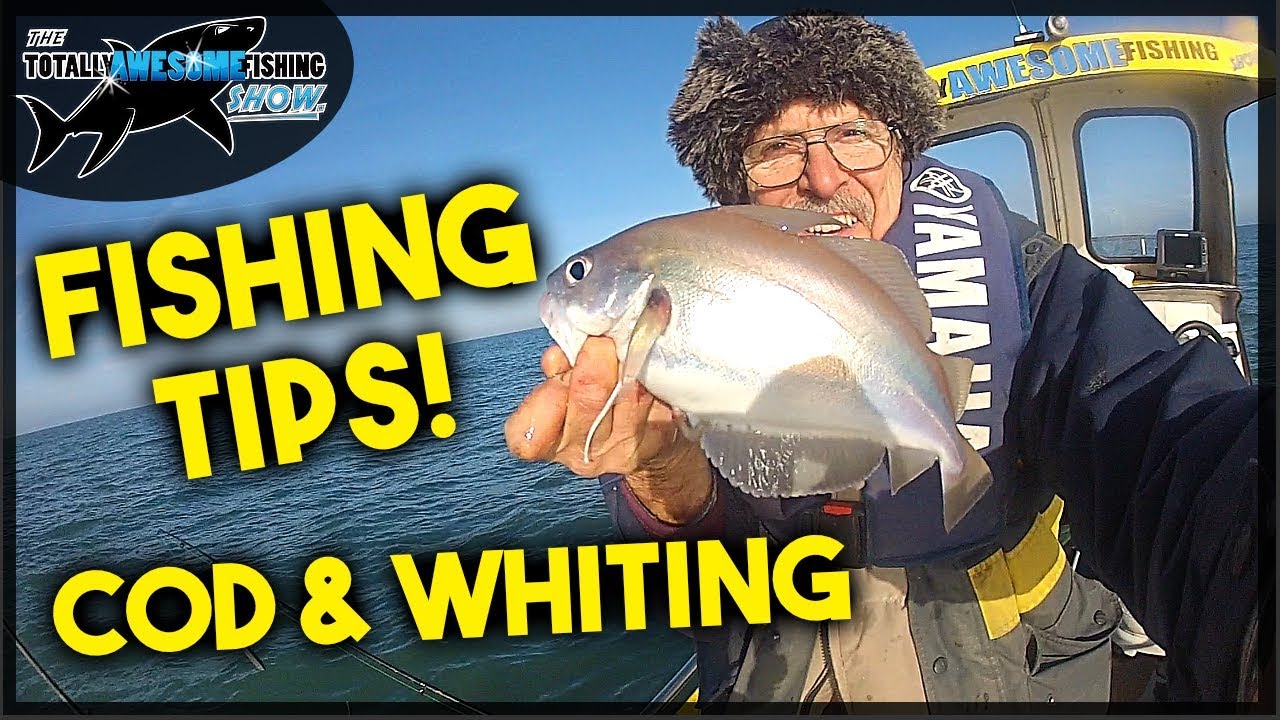 Whiting Fishing Tips ft THE COD!!