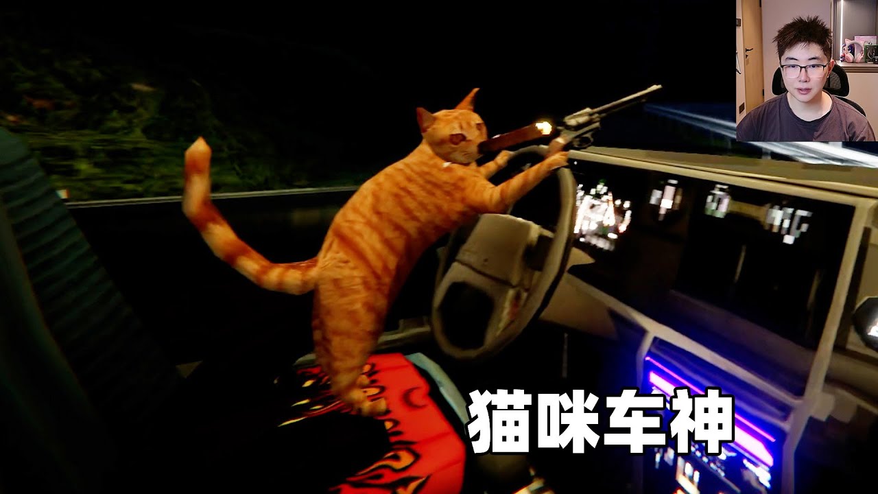 根据真实事件改编，一觉醒来猫咪正在开车带你逃亡