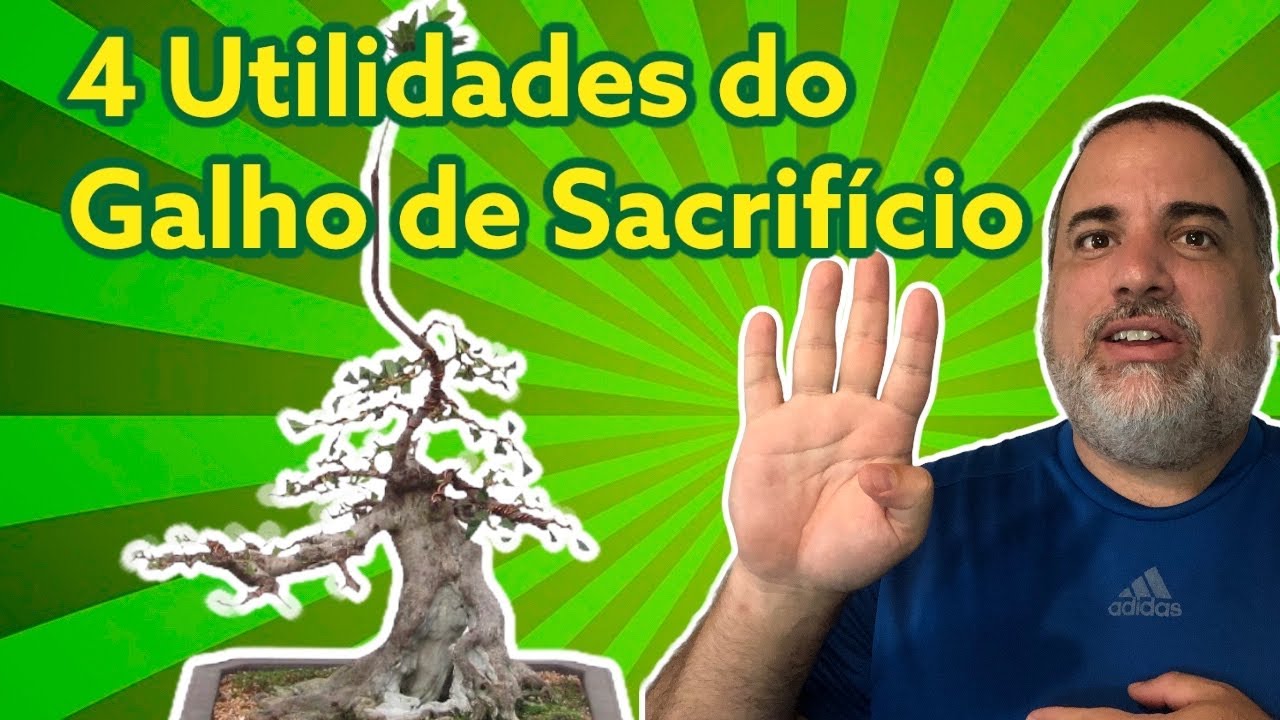 GALHO DE SACRIFÍCIO NO BONSAI SEM SEGREDOS