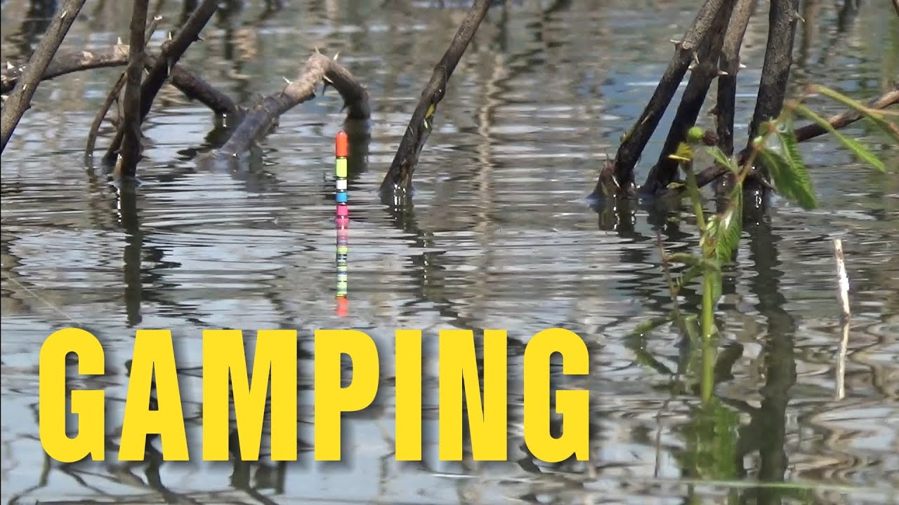 WGM Terbaru‼️SPOT LAGI GACOR²NYA MALAH BEGINI... #mancing #fishing #mancingmania 