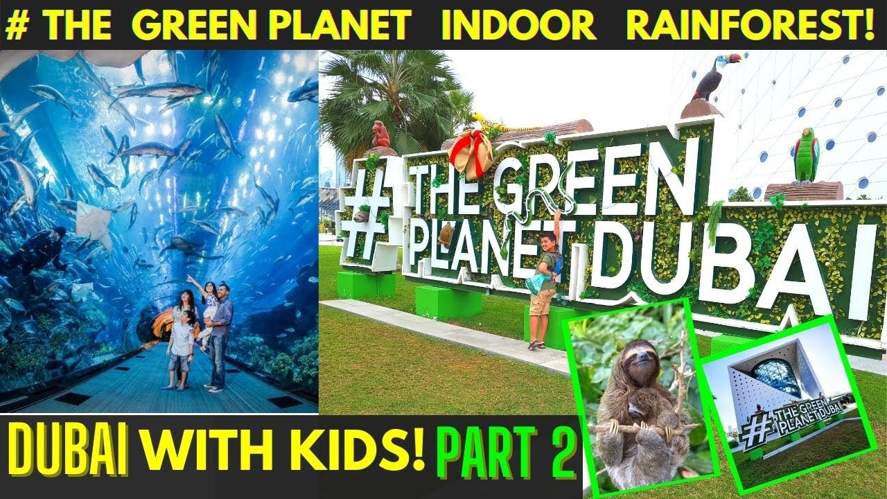 THE GREEN PLANET DUBAI Complete Tour at City Walk | PART 2 | RAINFOREST THUNDERSTORM | Exotic Birds|