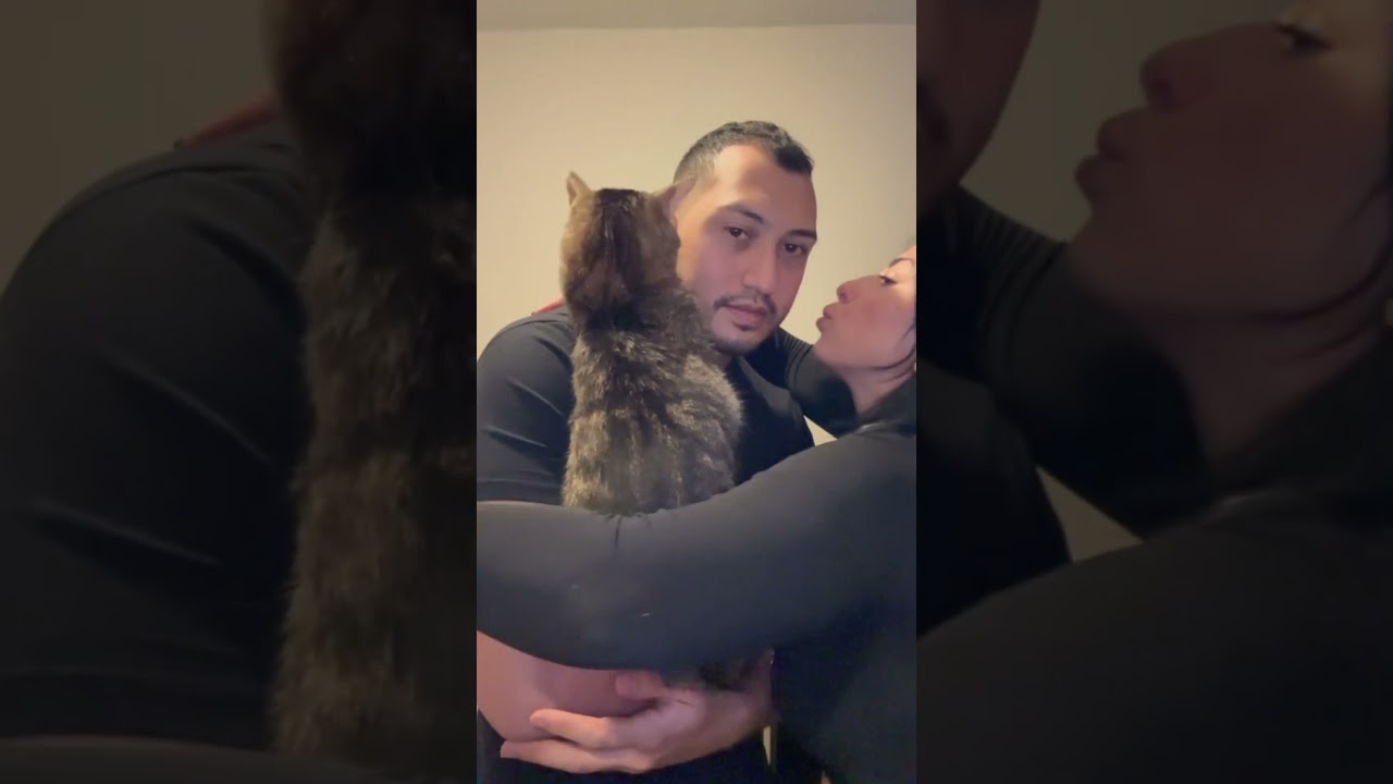 Cat robbed my man 😭😭