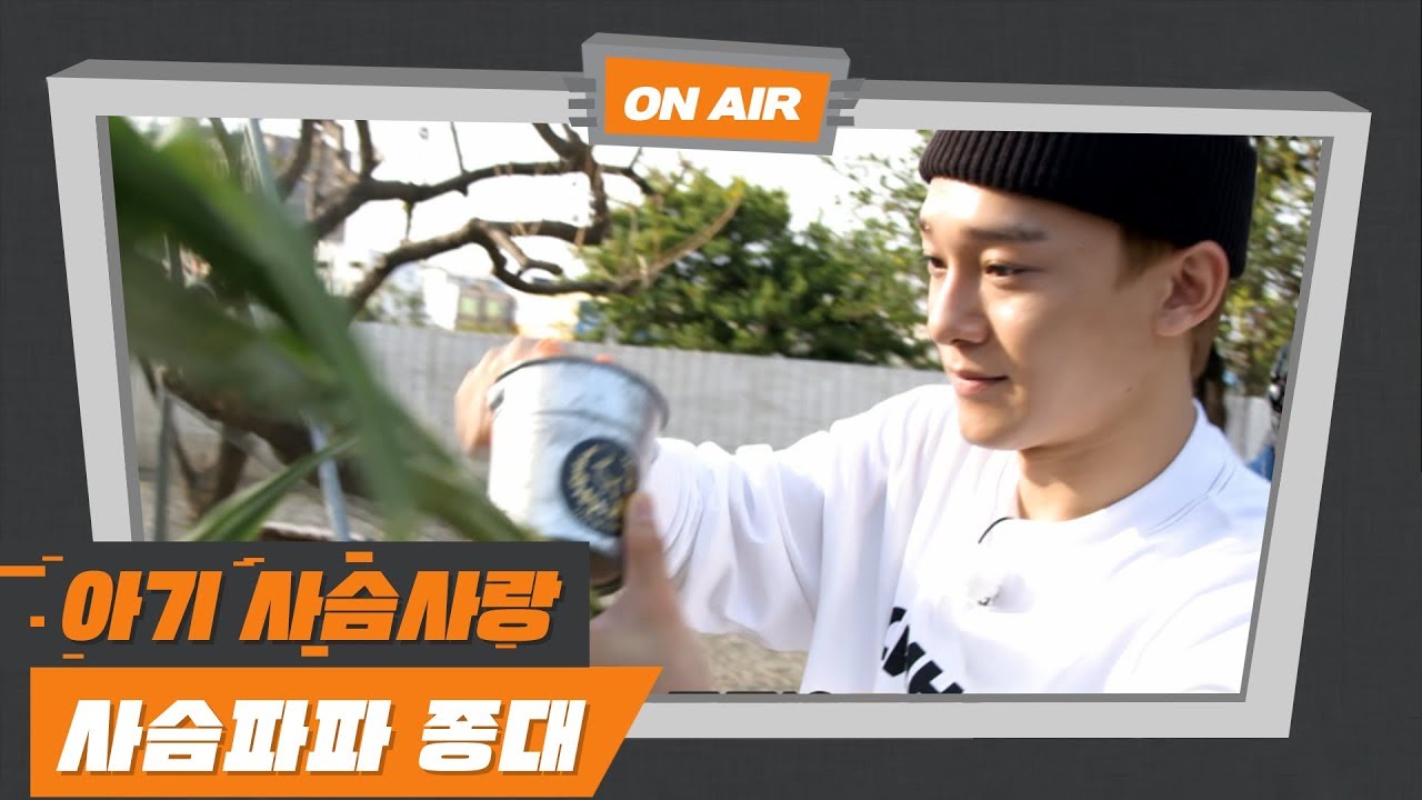 [엑사세2 첸 CUT PART5.] 종대 사슴 장벽과 만나다
