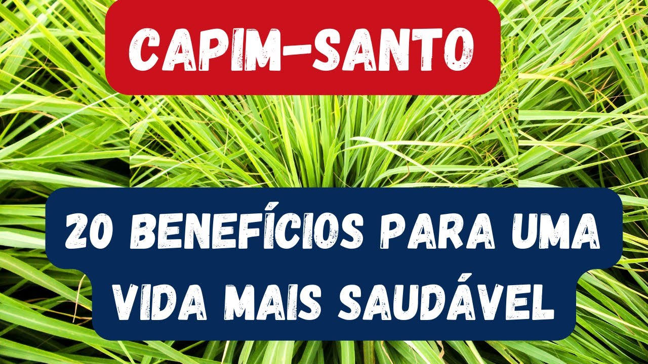 20 BENEF&Iacute;CIOS DO CAPIM SANTO, CAPIM LIM&Atilde;O OU CAPIM CIDREIRA