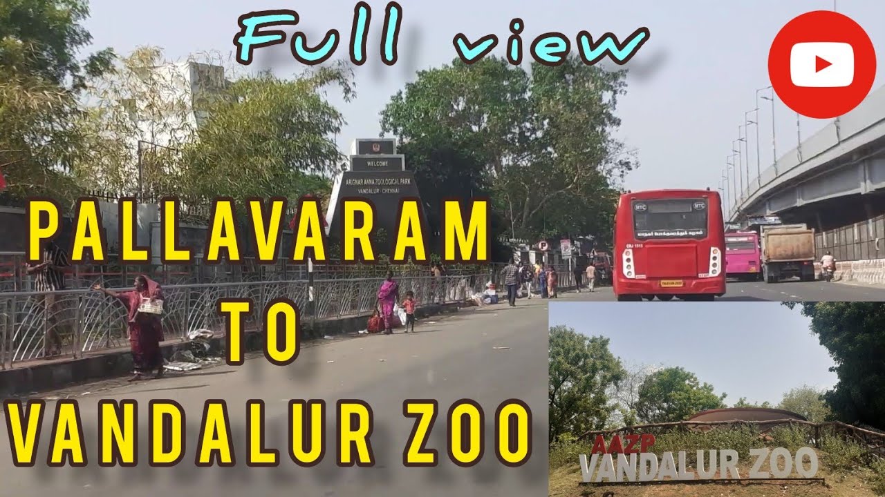 pallavaram to vandalur zoo full road view #vandalurzoo #gstroad #vandalur #parking