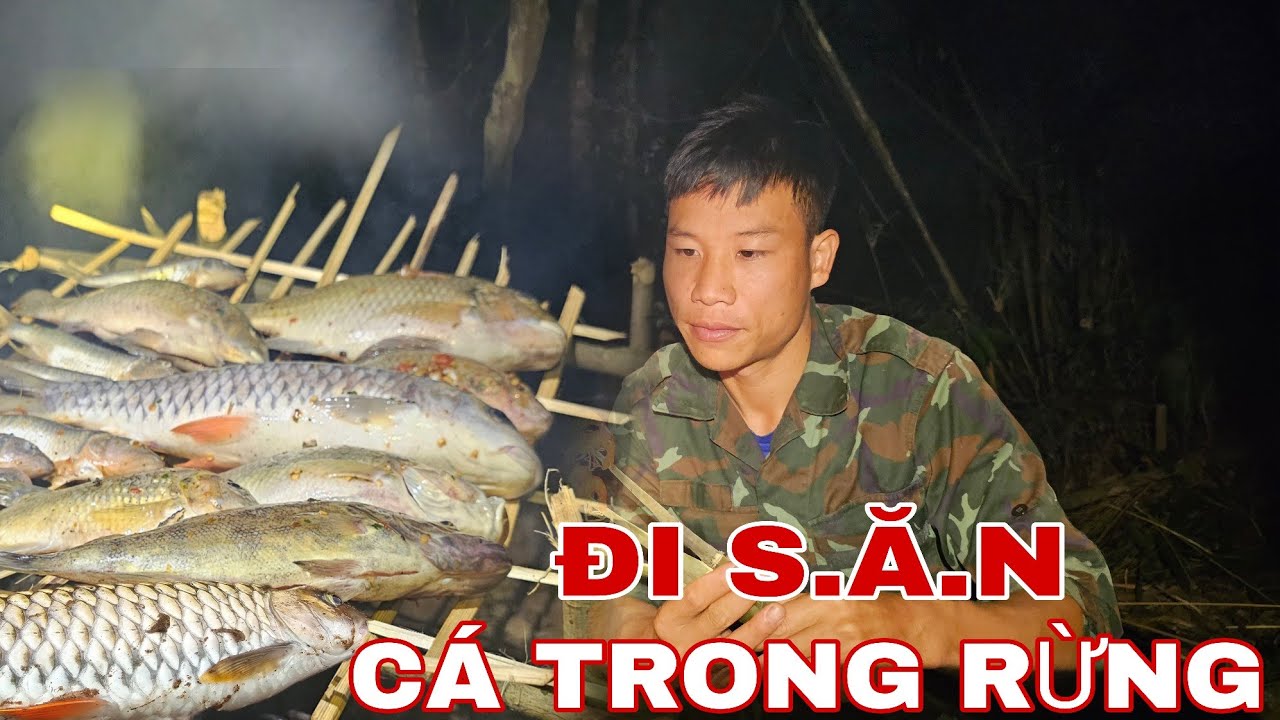 72H NGƯỢC DÒNG SUỐI ĐI SĂN CÁ CHÀY HOANG DÃ TRONG RỪNG SÂU !