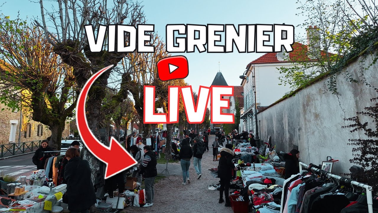 ✨VIDE GRENIER LIVE ✨C'EST L'HEURE DE LA REPRISE ALLONS CHERCHER DU JEUX VIDEO🎮🕹️