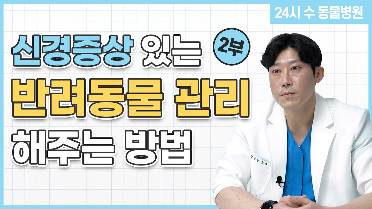 신경증상이 있는 반려동물을 관리해주는 방법 (강아지 신경증상 2부)