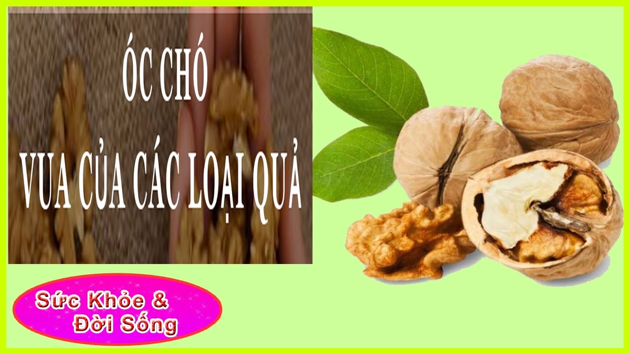 11 C&Ocirc;NG DỤNG thần kỳ của quả &Oacute;C CH&Oacute; bạn cần phải biết