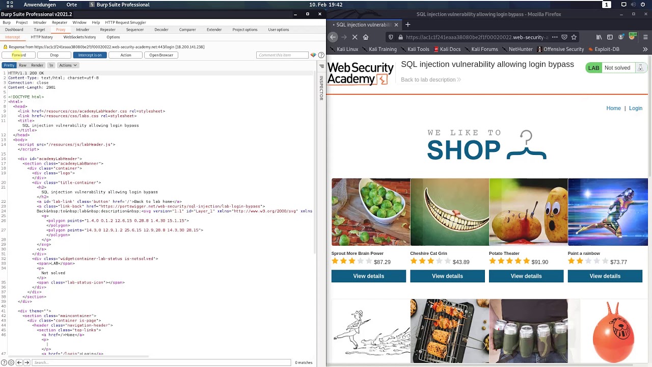 Уязвимость SQL-инъекции, позволяющая обойти вход в систему (Видеорешение, Аудио)