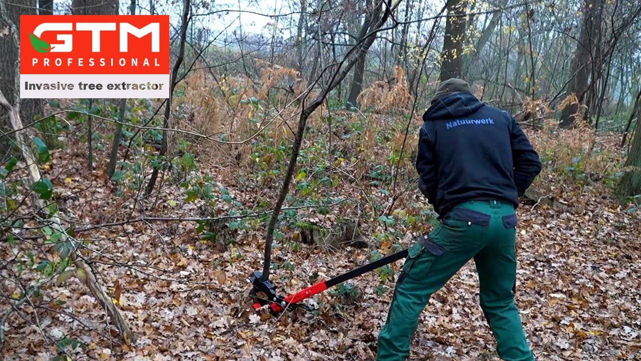 Invasive Tree Extractor - The smart solution for invasive exotic plants