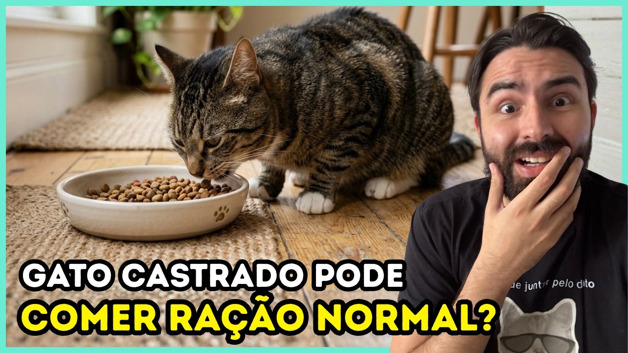 Gatos castrados só podem comer ração e sachê para gatos castrados?