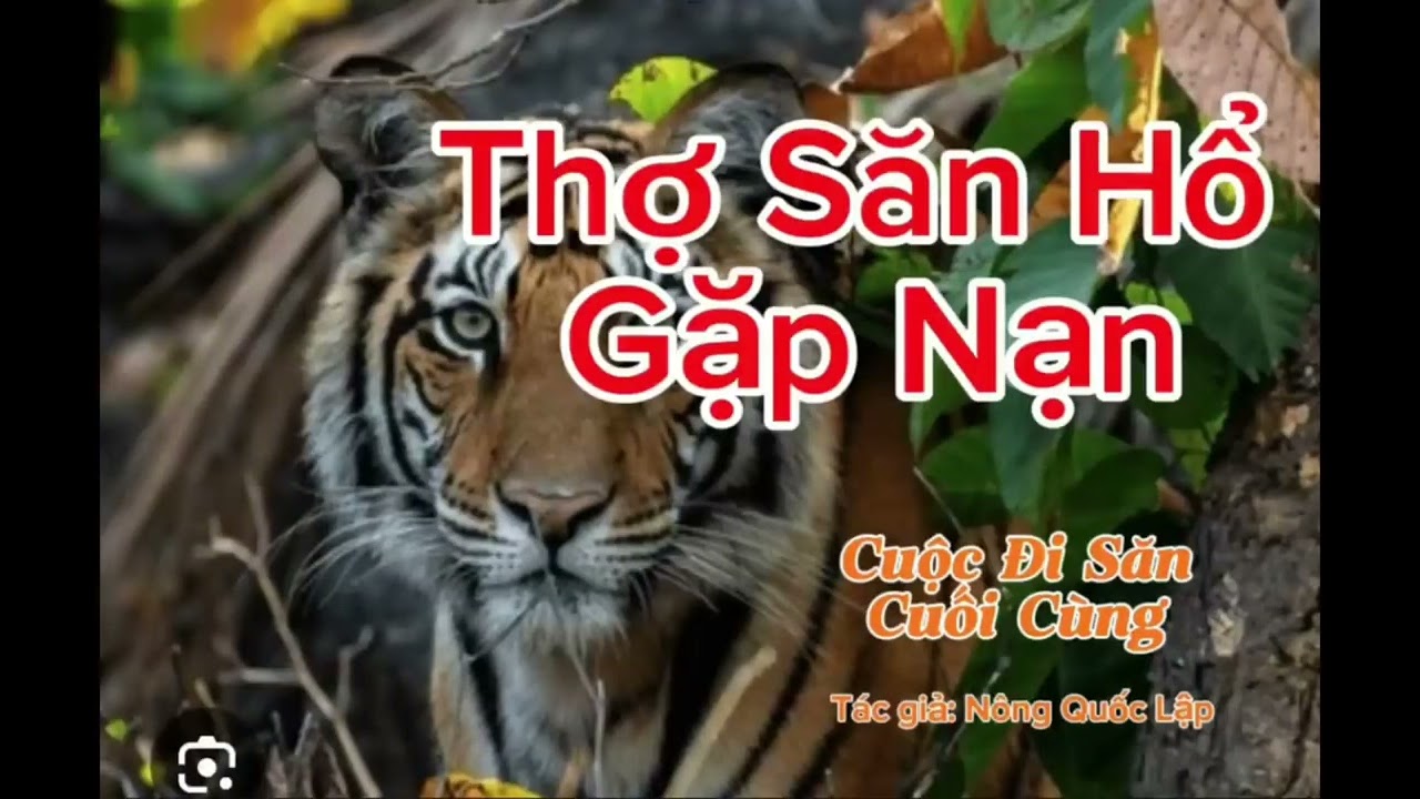 THỢ SĂN HỔ GẶP NẠN | Lê Anh diễn đọc