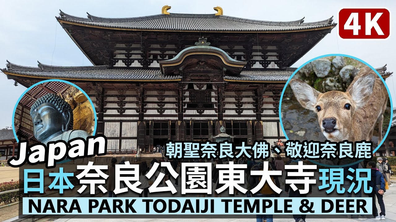 Japan／日本奈良公園、奈良東大寺餵鹿趣 Nara Park Todaiji Temple 奈良國立博物館滿滿奈良鹿、冰室神社供奉冰塊？Feeding the Nara deer／日本旅行 Walk