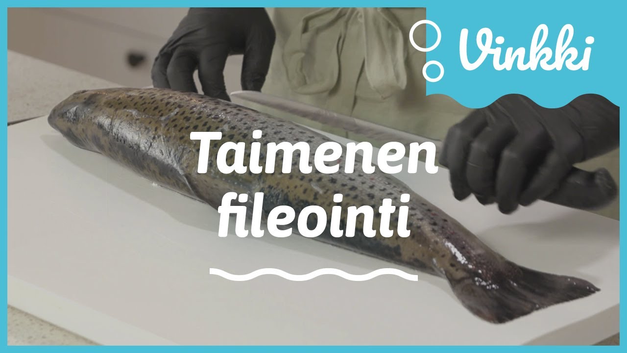 Taimenen fileointi | Kalan käsittely