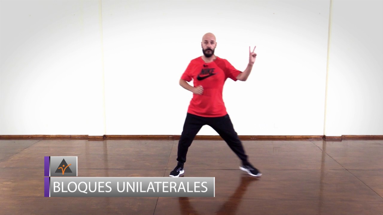MATERIAL DE ESTUDIOS, BLOQUES UNILATERALES, AMICI
