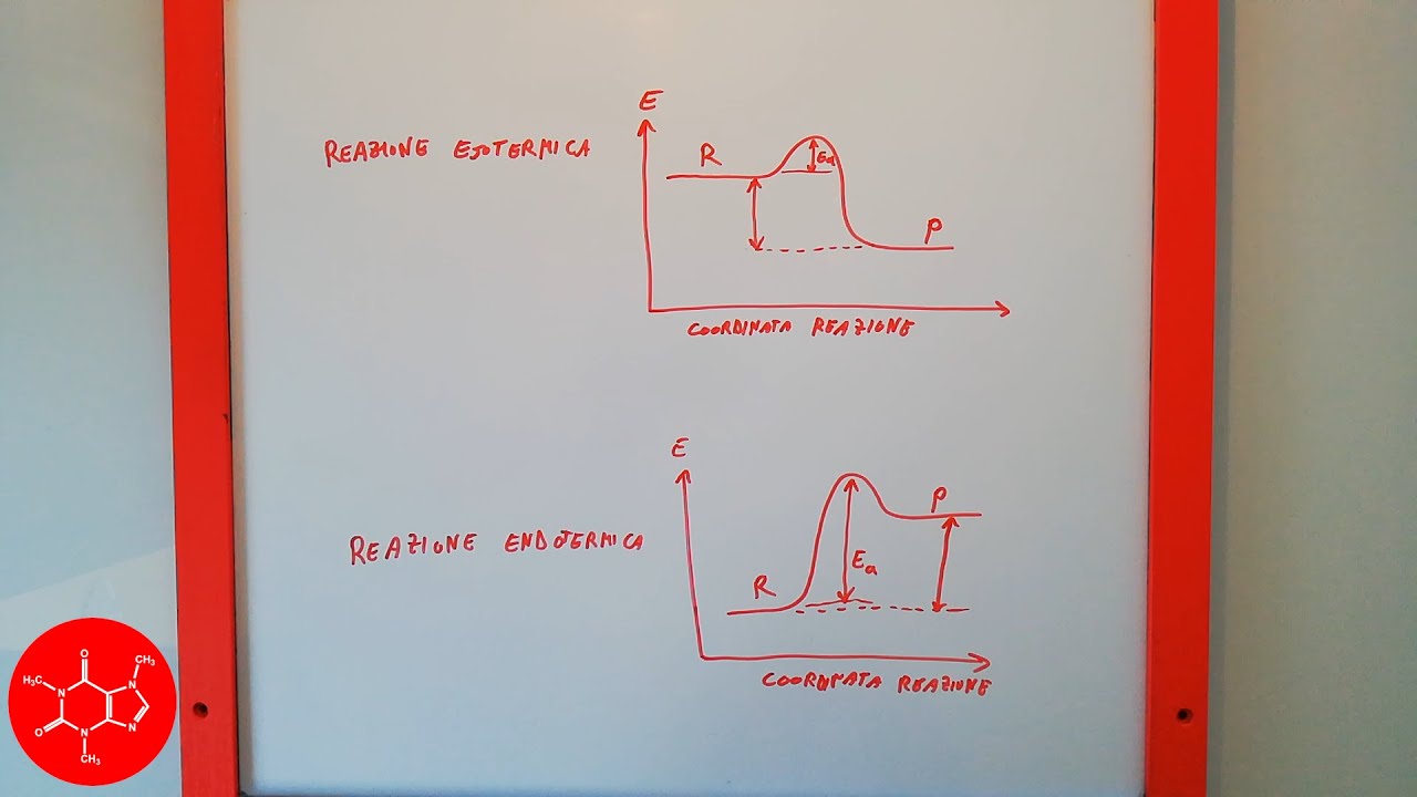 Grafici energia contro coordinata di reazione di reazioni eso ed endotermiche - lezione di chimica