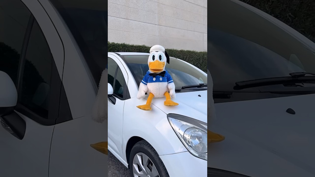 Ha vuelto la rubia del Bentley 👱&zwj;♀️🚗🦆 @jetcarru