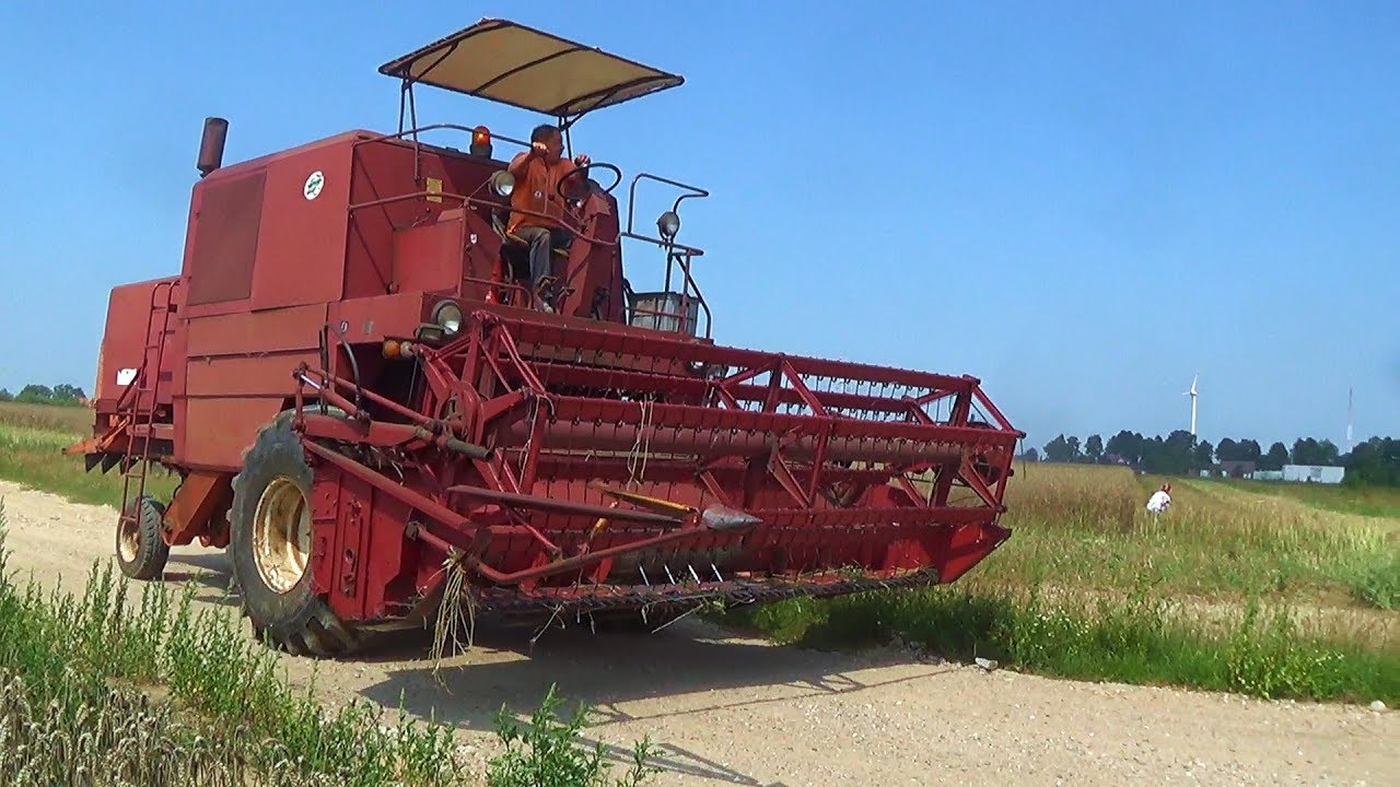 Bordowy Bizon Super Z056 ma już swoje wielkie żniwa