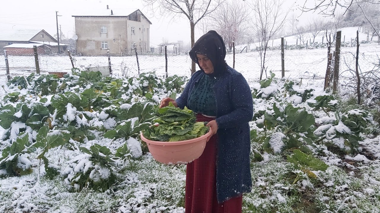 mancara ilk kar yağdı cok mutluyuz☃️Hakan Çelebi dolma sararsa✅#zonguldaktakar var #karyağışı