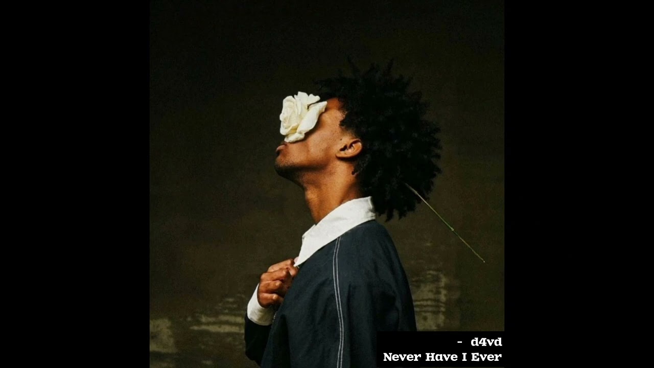 d4vd -never have l ever [audio]