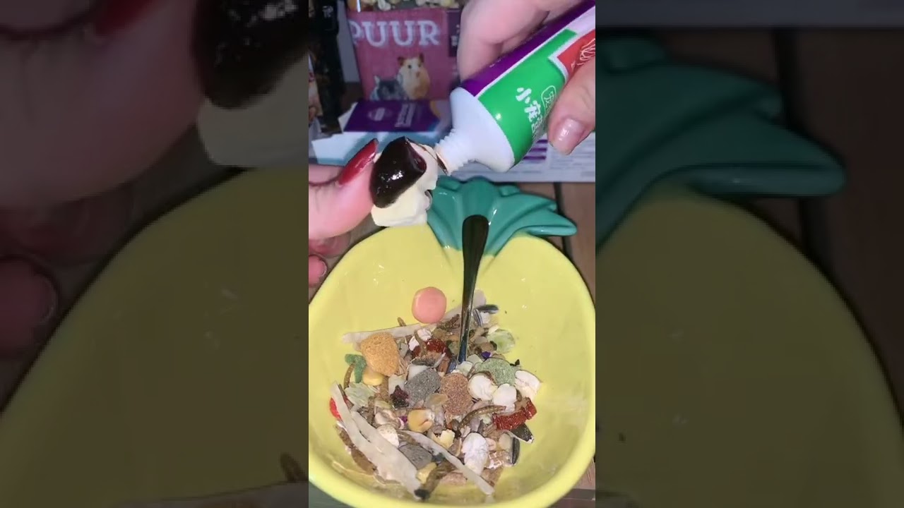 Trộn đồ ăn cho hamster p2.       Cre:Chị Bích Liên(Tiktok)