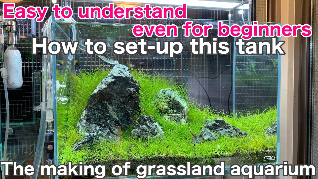 How to set up a grassland layout① The making of aquarium for 45cm tank 〜 ADA nature aquarium iwagumi