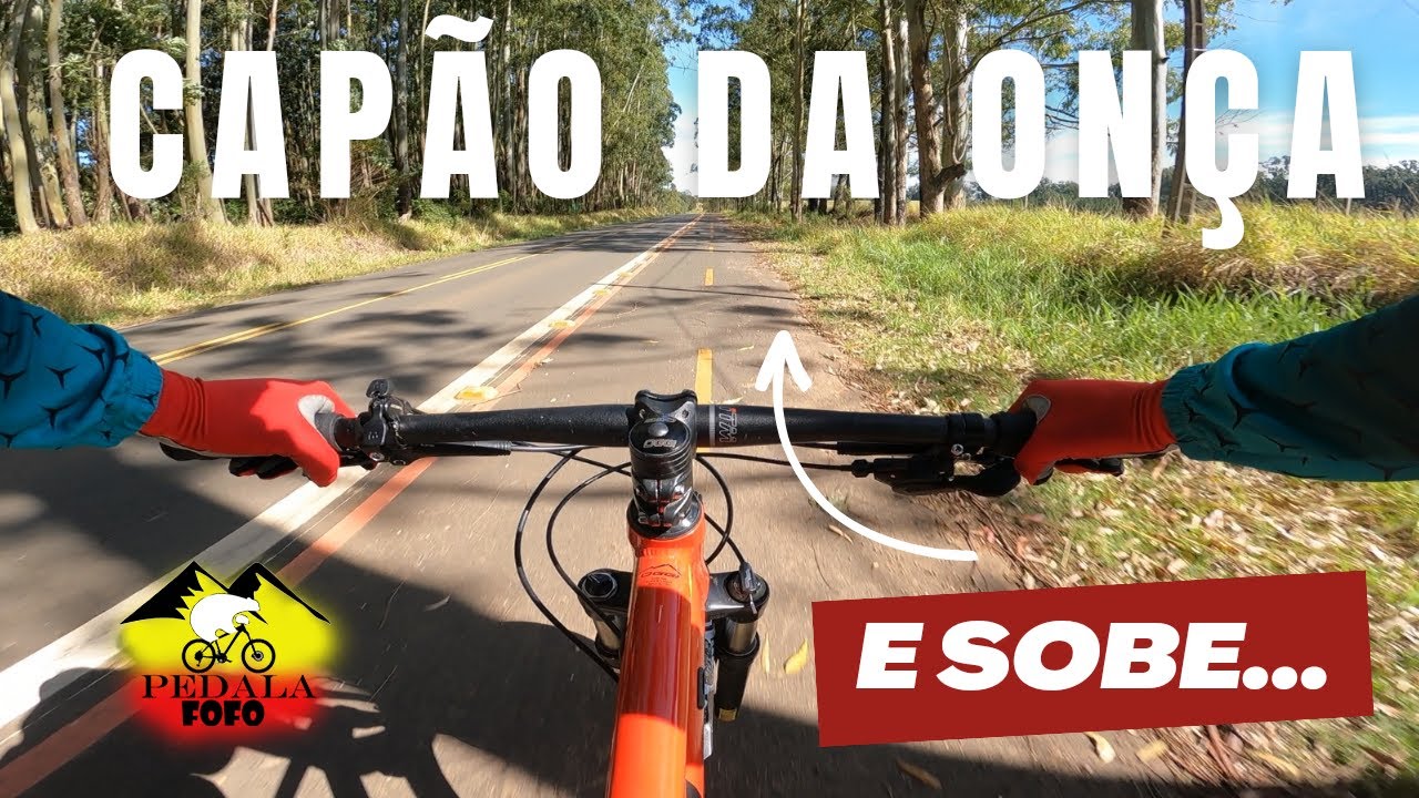 Pedal de asfalto | Mountain bike | Pedala Fofo