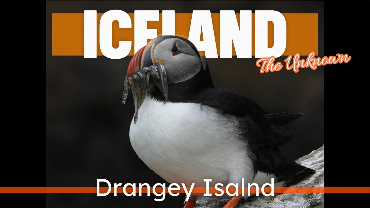 [Iceland] How to Visit Drangey Island- Conquering Iceland’s Bird Island — 🐧 | Silversea Expedition