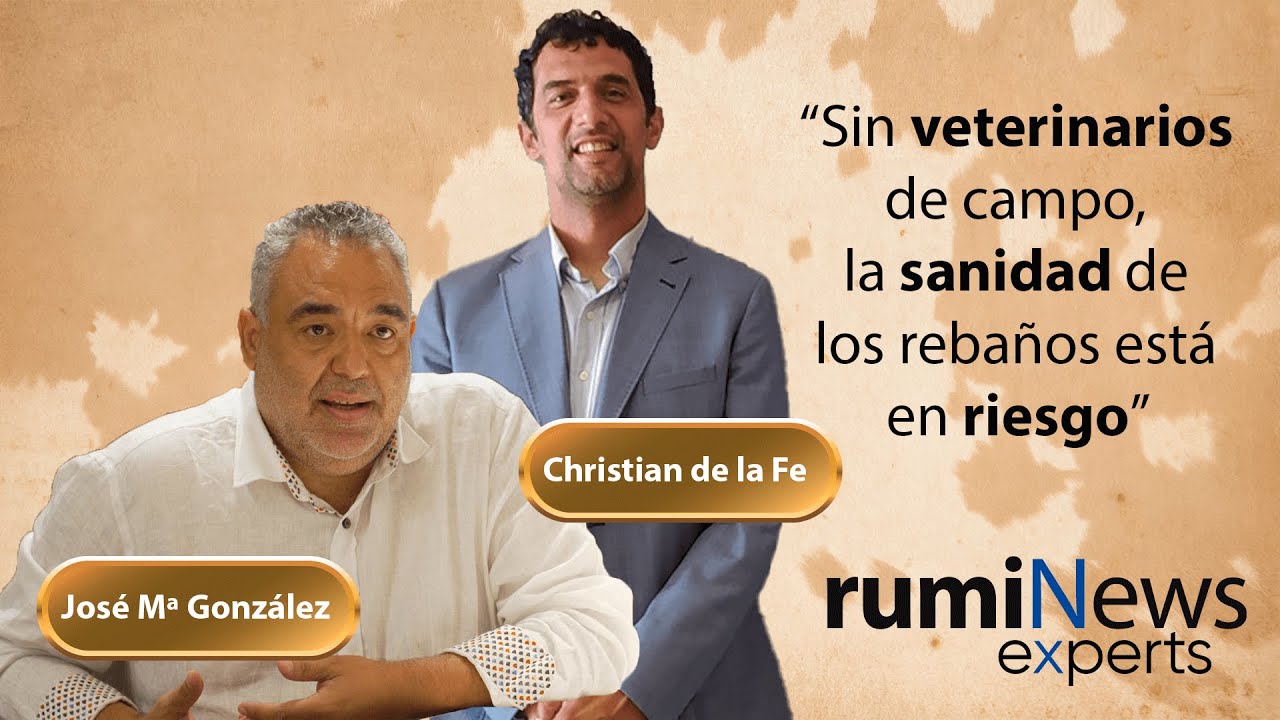 Desafíos y futuro del ovino: sanidad, mercados y relevo generacional
