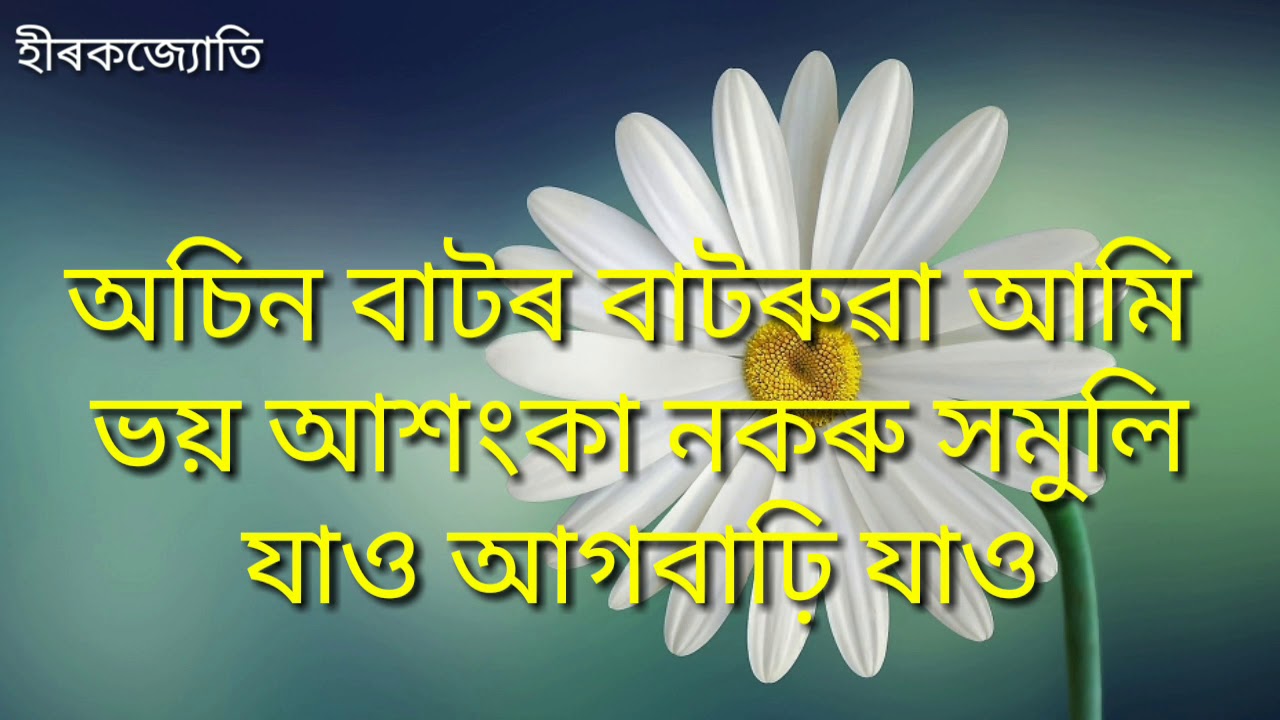 Pohor Bisari Jaw || Assamese Chorus lyrics video
