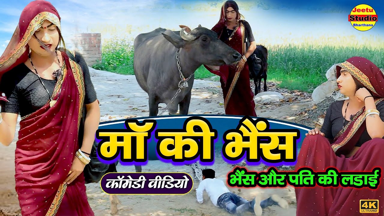 भाभी लाई माँ की भैंस || देहाती कॉमेडी वीडियो#Bhabhi#funny #video #comedy