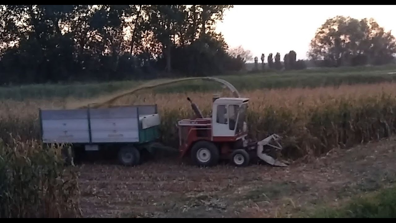 [GoPro]Trinciatura mais 2017, Hesston 7680S, Claas 456,Fendt 211,611