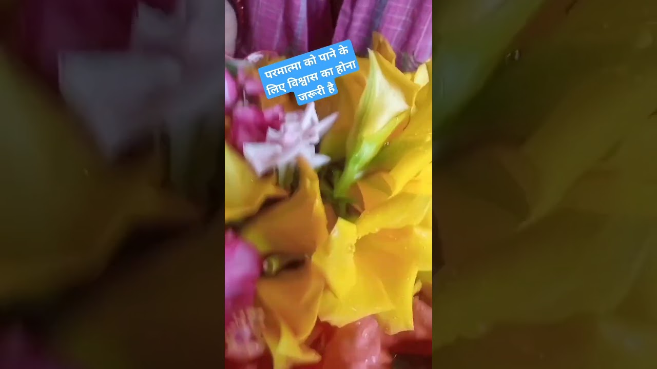 #pradeepmishra