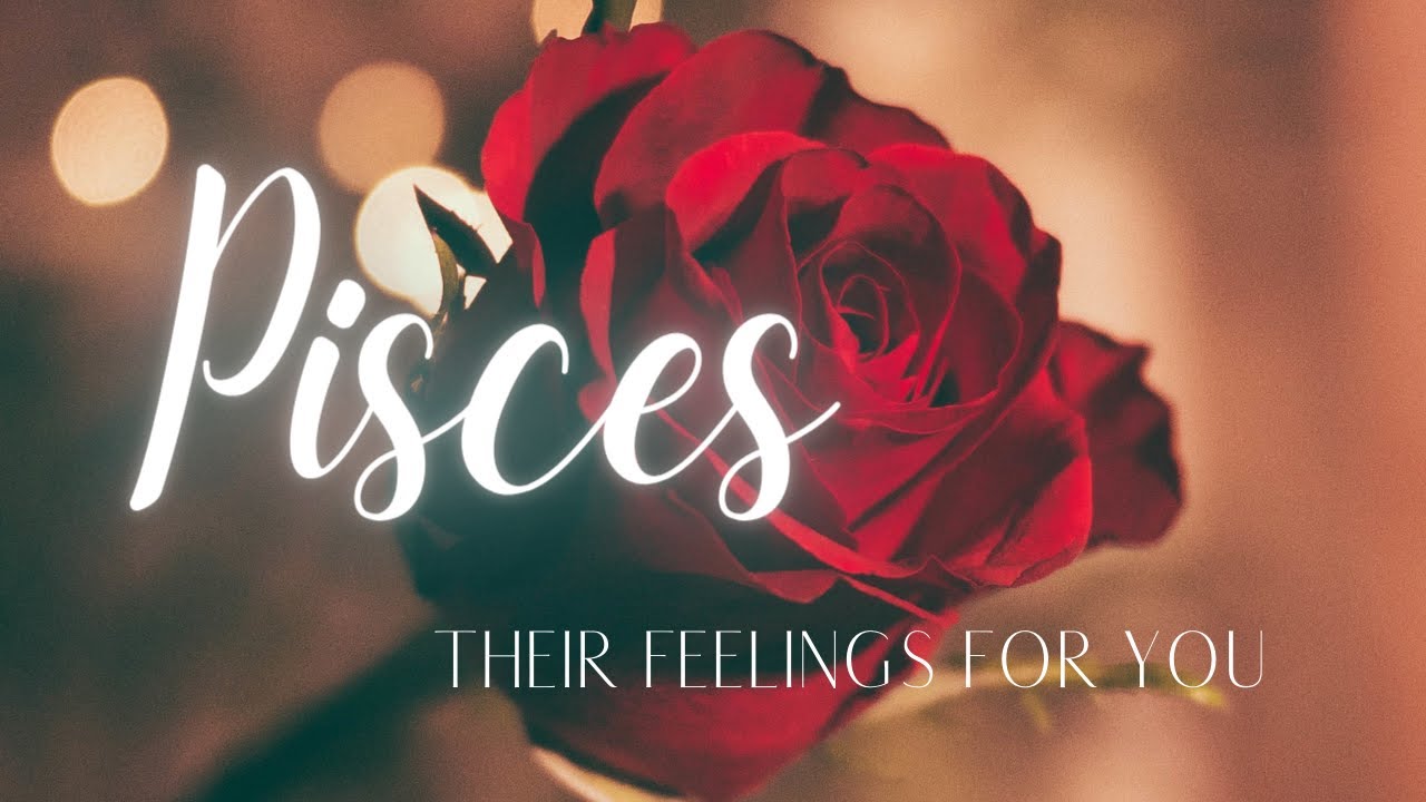 PISCES LOVE TODAY - I WANT A LIFE WITH YOU, PISCES!!! SOULMATES TWIN FLAMES