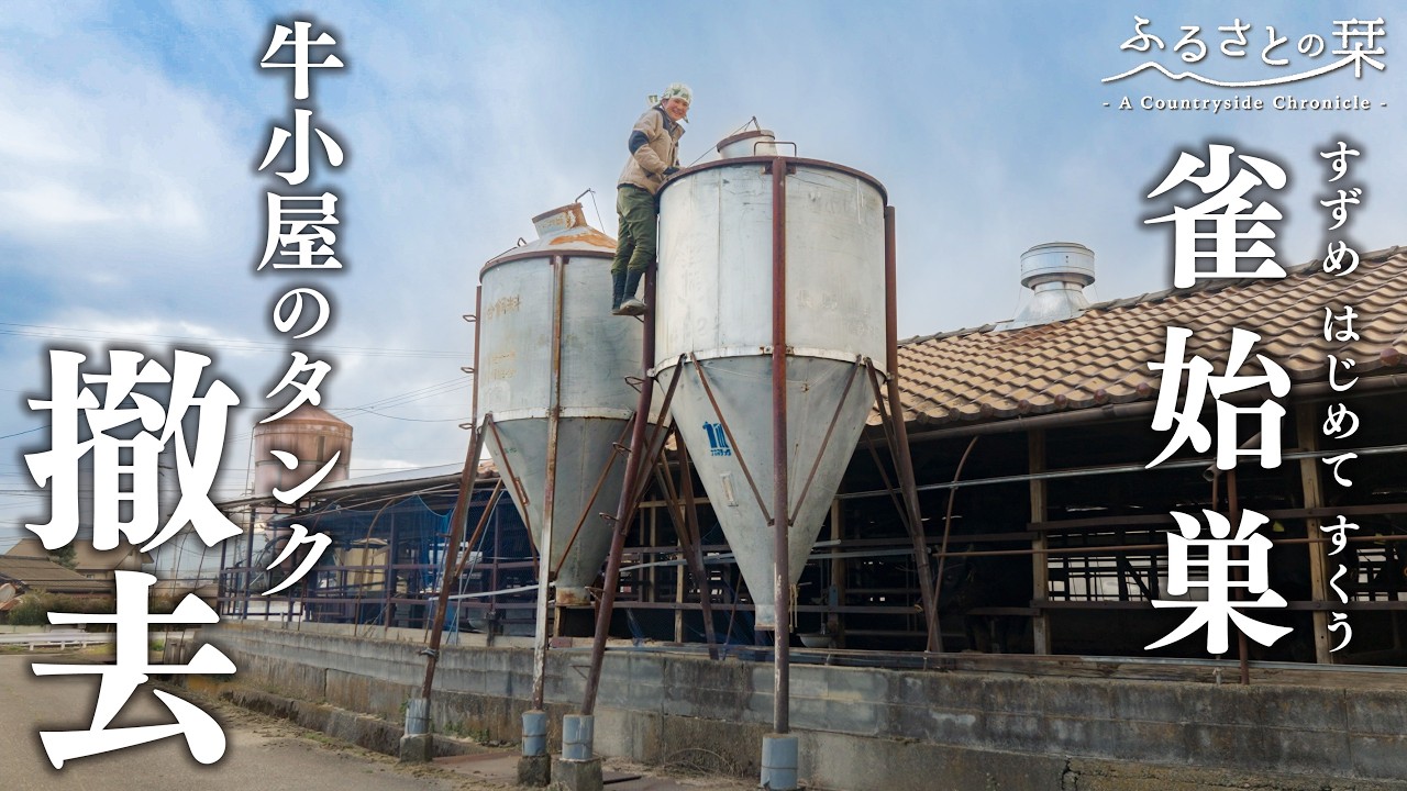 【田舎暮らしの日常】どう動かす&hellip;？牛小屋の飼料タンクの片付けと夫婦ふたりで晩ご飯｜田舎暮らし192