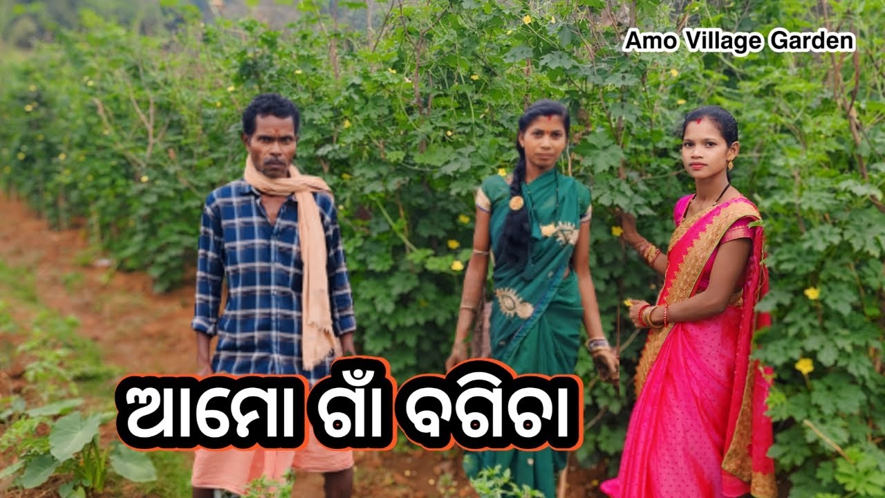 ଆମୋ ଗାଁ ଚାଷ ଆପଣ ମାନଙ୍କୁ ଦେଖେଇବି🫑I Will Show You Our Village Farm